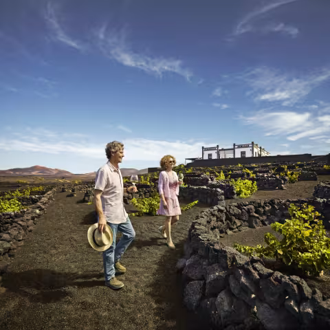 Visita Canarias