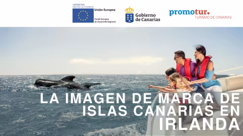 tracking_de_marca_irlanda.pdf